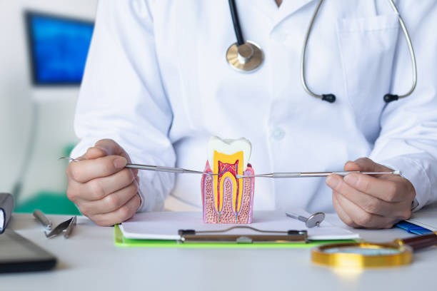 Best Emergency Wisdom Teeth Removal in Neshanic Station, NJ